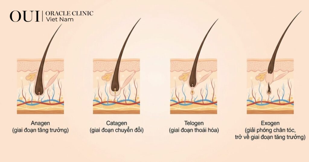 Triệt lông trước khi đi biển bao lâu
