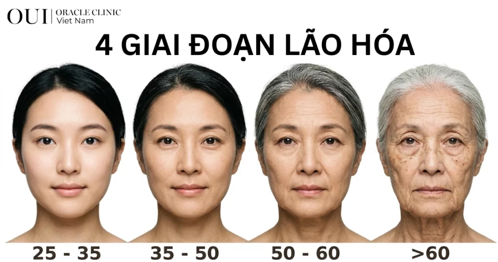 trẻ hóa toàn diện